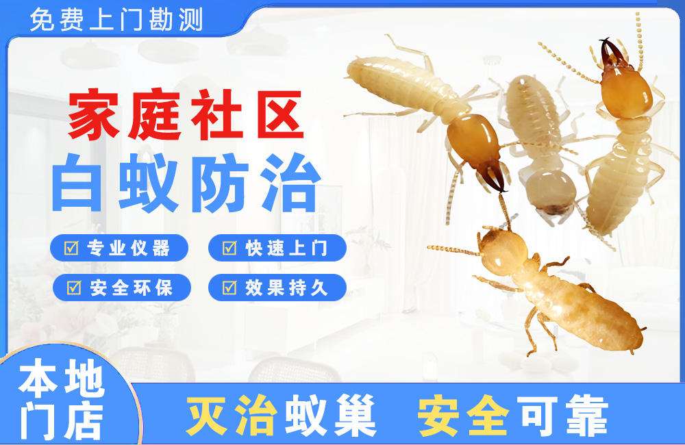 海宁家庭社区白蚁防治