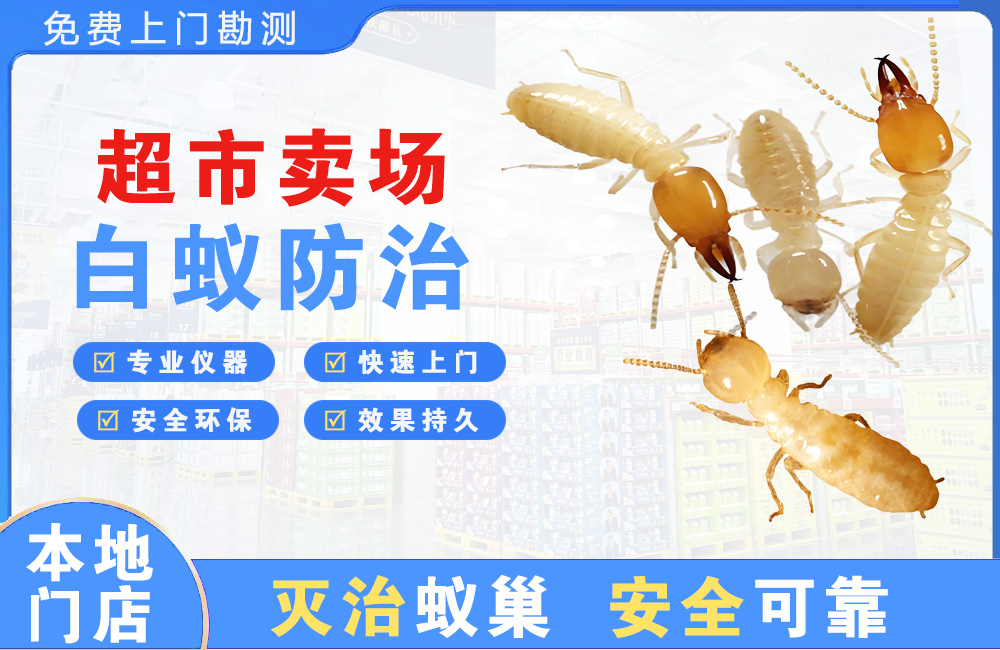海宁超市卖场白蚁防治