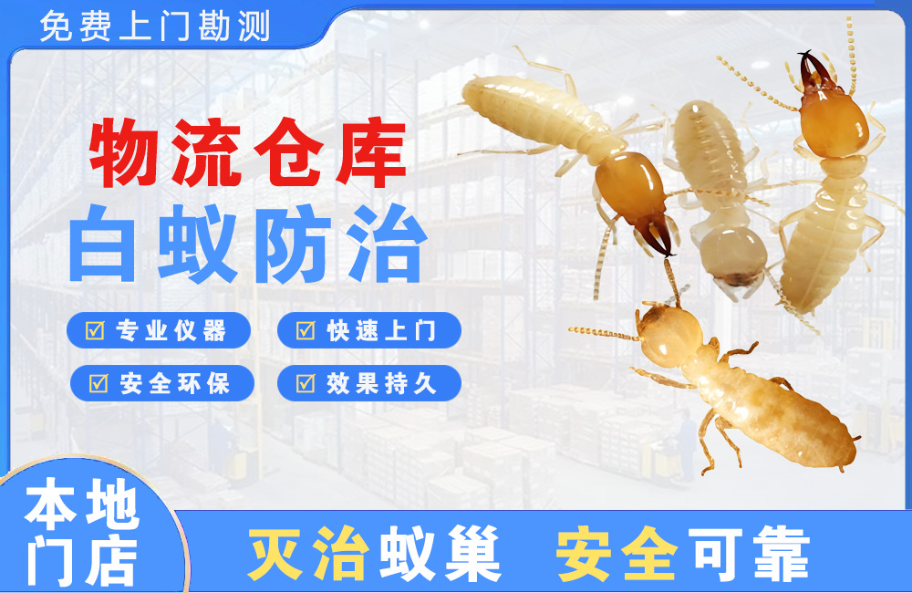 海宁物流仓库白蚁防治