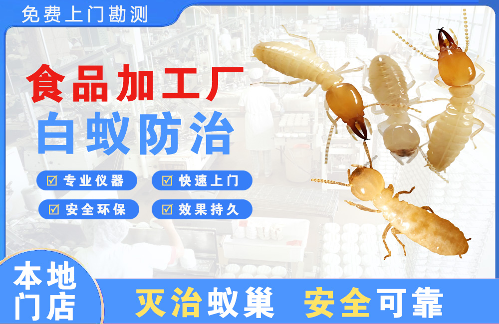海宁食品加工厂白蚁防治