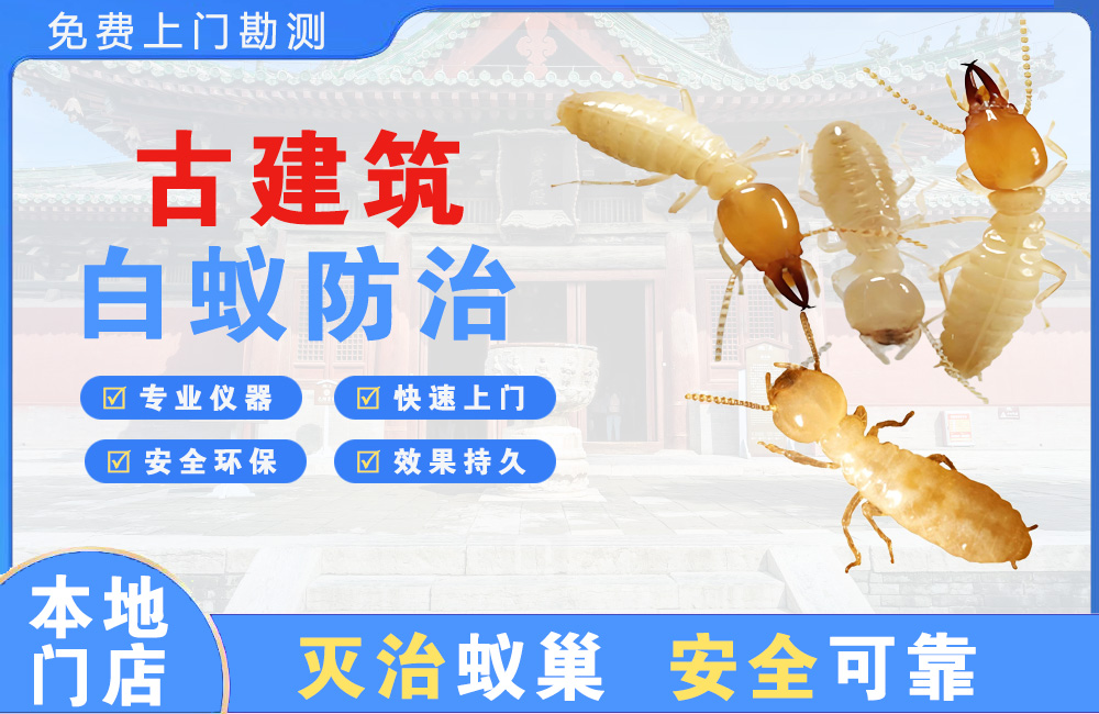 海宁古建筑白蚁防治