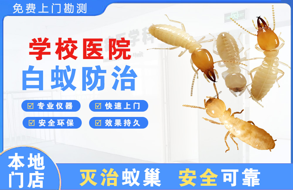 海宁学校医院白蚁防治