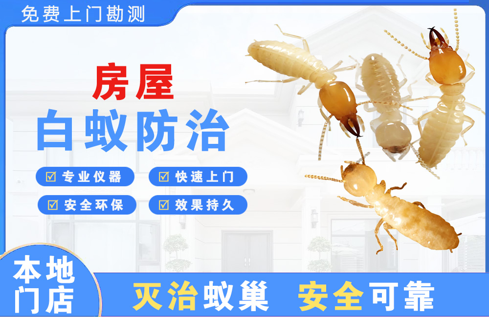 海宁房屋白蚁防治