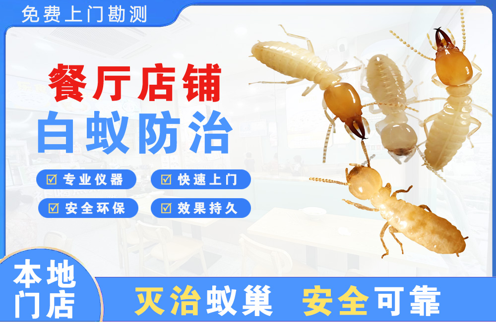 海宁餐厅店铺白蚁防治